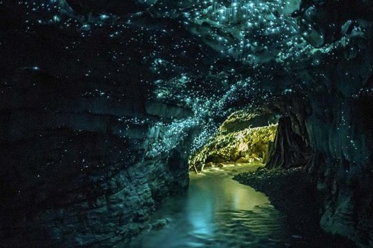 grottes-de-waitomo