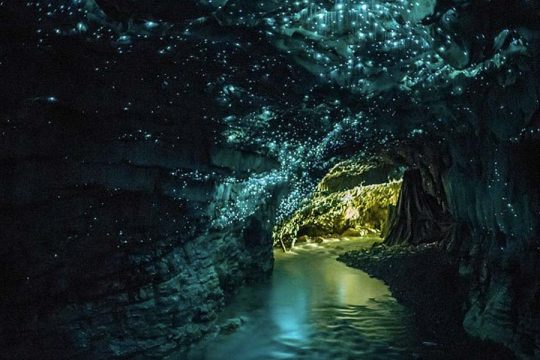 grottes-de-waitomo