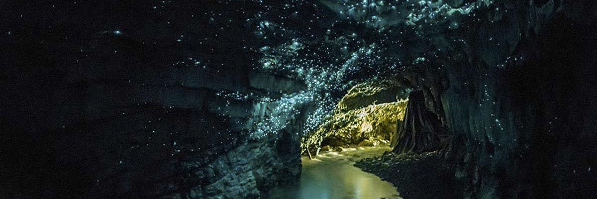 grottes-waitomo