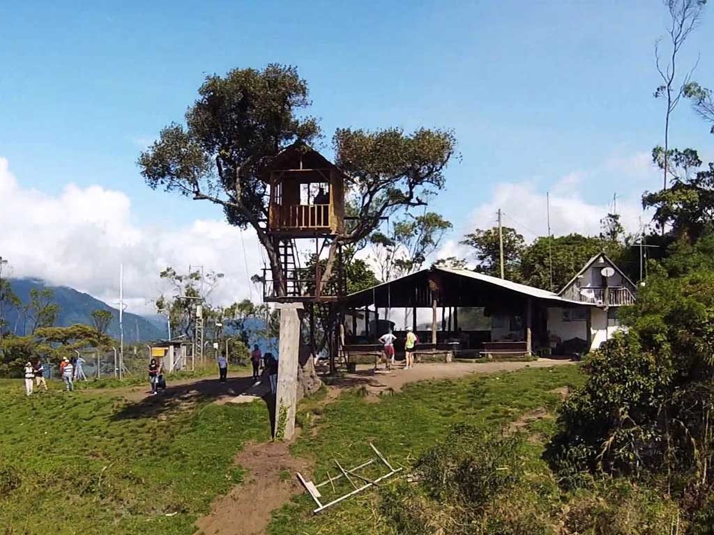 La Casa del Arbol